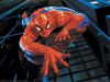 wallpaper_spider-man_01_1600.jpg