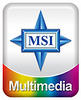 Multi-media MSI logo