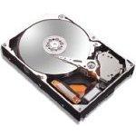 Hard disk Maxtor MaXLine III 320Go Serial ATA II 16MB