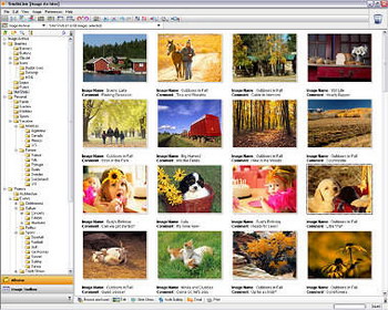 StudioLine Photo Basic v.3.50.31