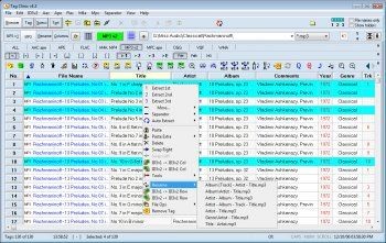 MP3 Tag Clinic 4.3.5.3